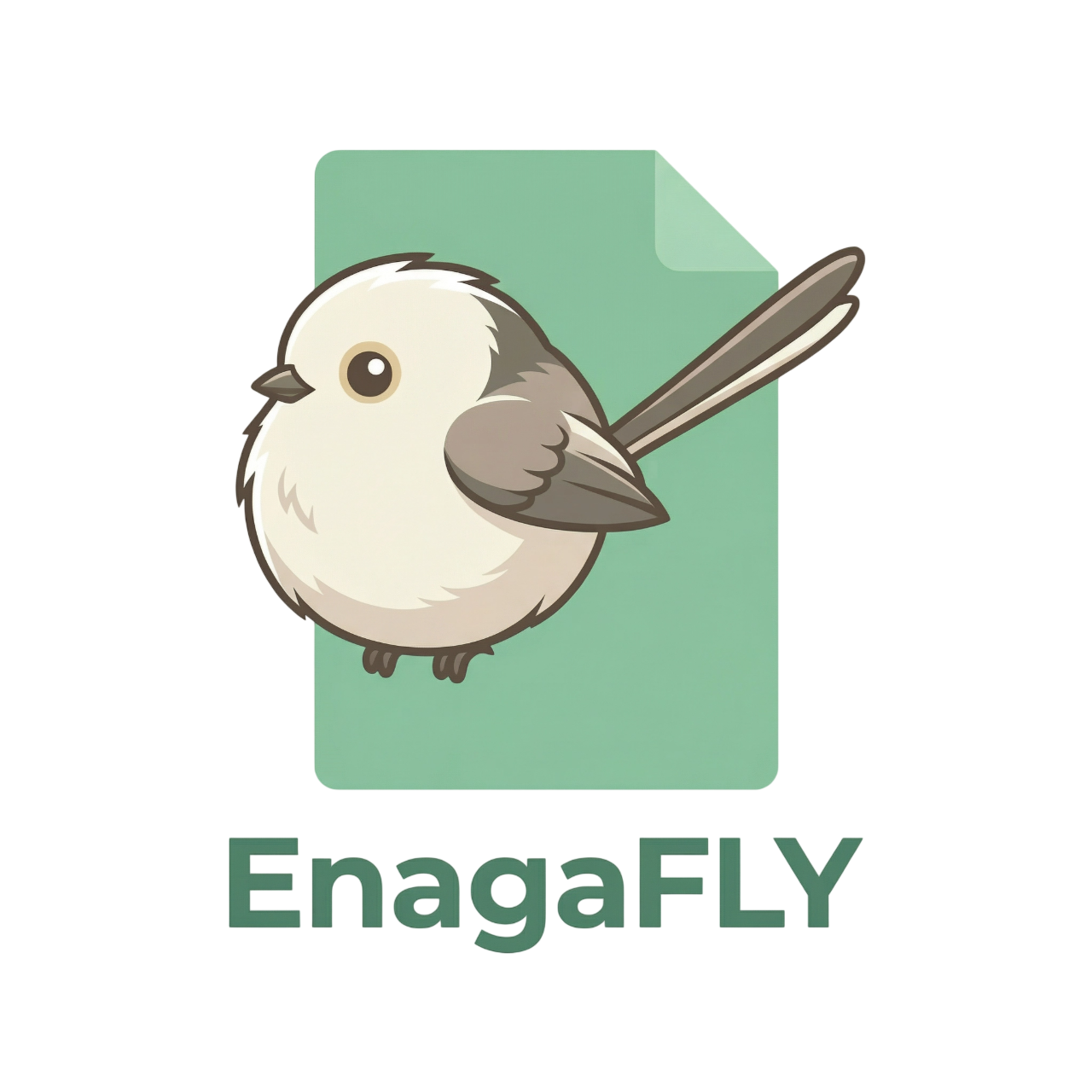 EnagaFLY Platform